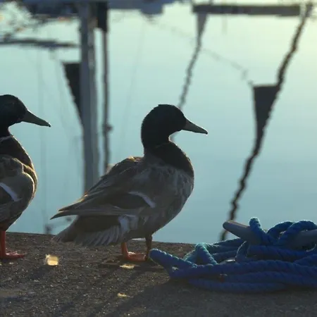 Ancora Marina Haus 2 Nr 01, Typ 1 Apartament *